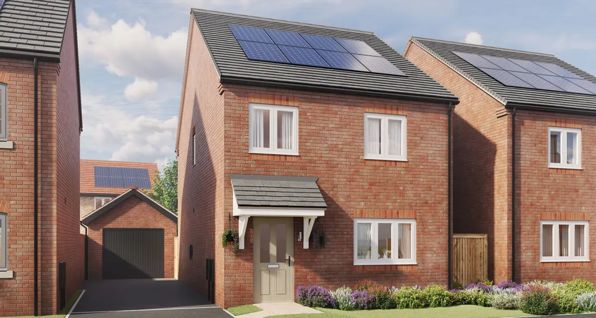 PFP Goldsmithsgreen Ruby