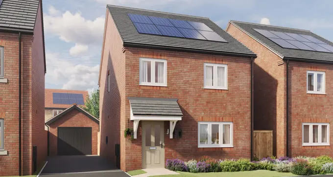 PFP Goldsmithsgreen Ruby