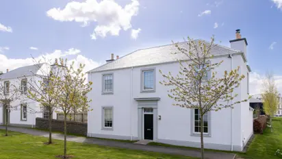 Dalziel Street Scene 15