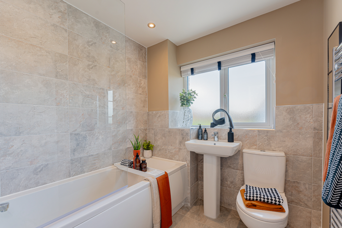 8557385 Stills Interior10(1)