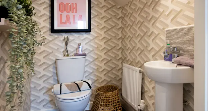Daresbury Downstairs WC 1