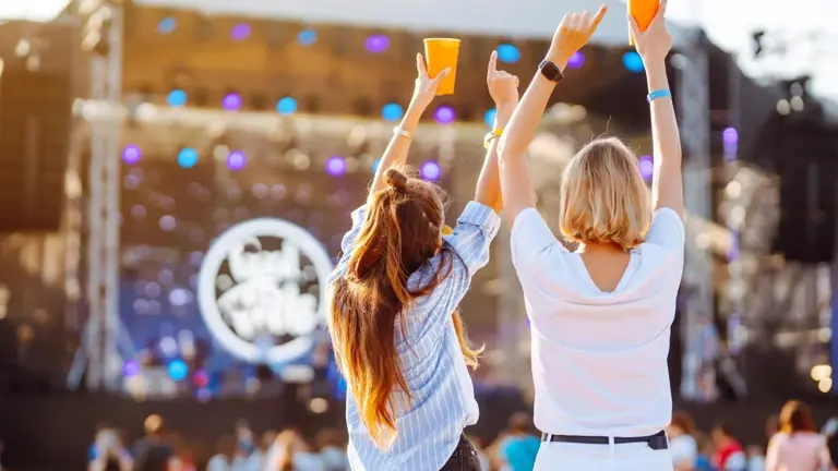 Friends At Music Festival