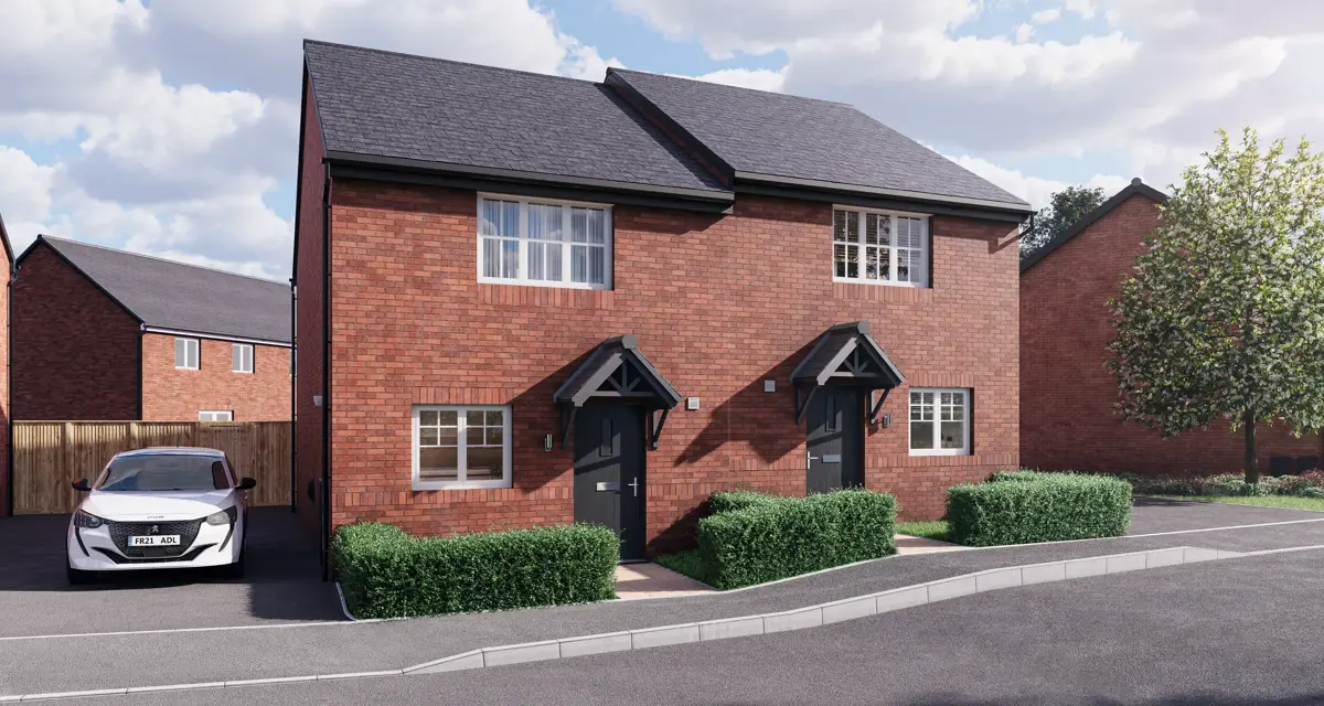 The Dukes The Curlew