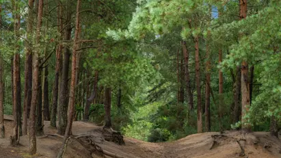 033 Hires Localarea Photography Whistlewood DSC01143