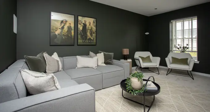Cinema Room 1