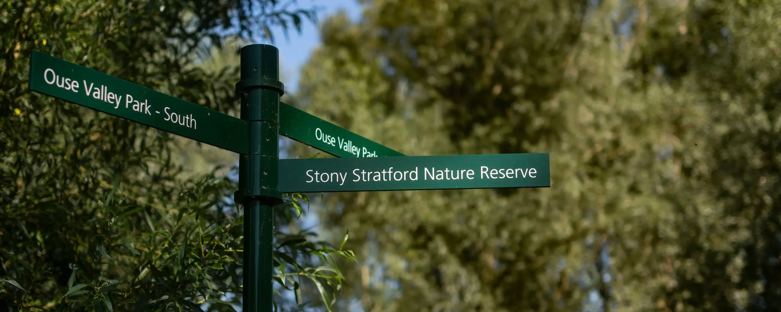 Stony Stratford Mill Field 011