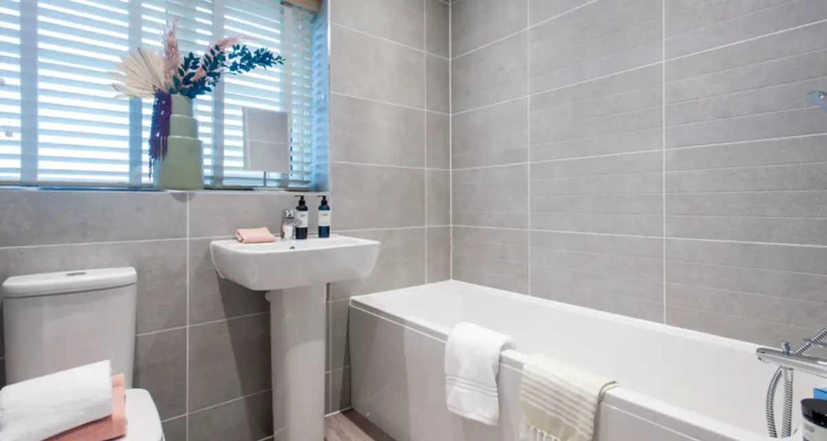 Sherwin Pfp Bath
