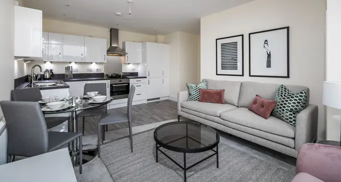 Laconia Apartment Living Room (1)
