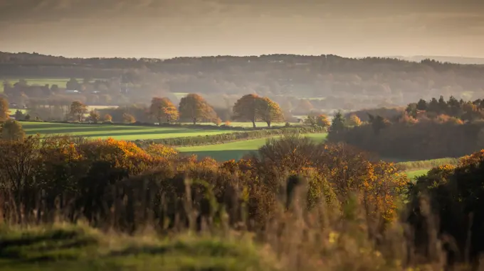 Quarterjackpark Wimborne Local9