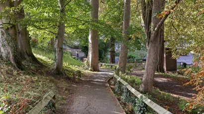 Trees 1
