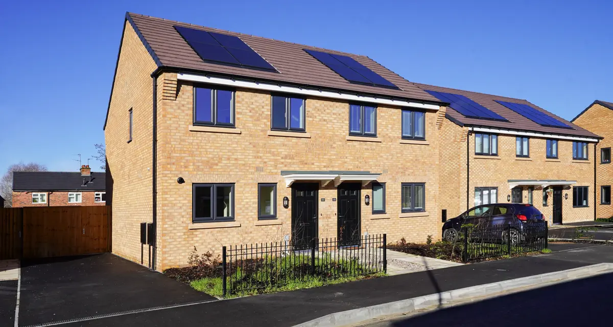 Marble Square The Cornflower