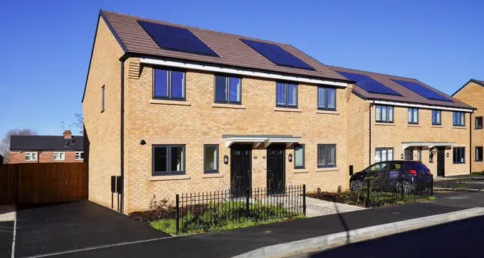 Marble Square The Cornflower