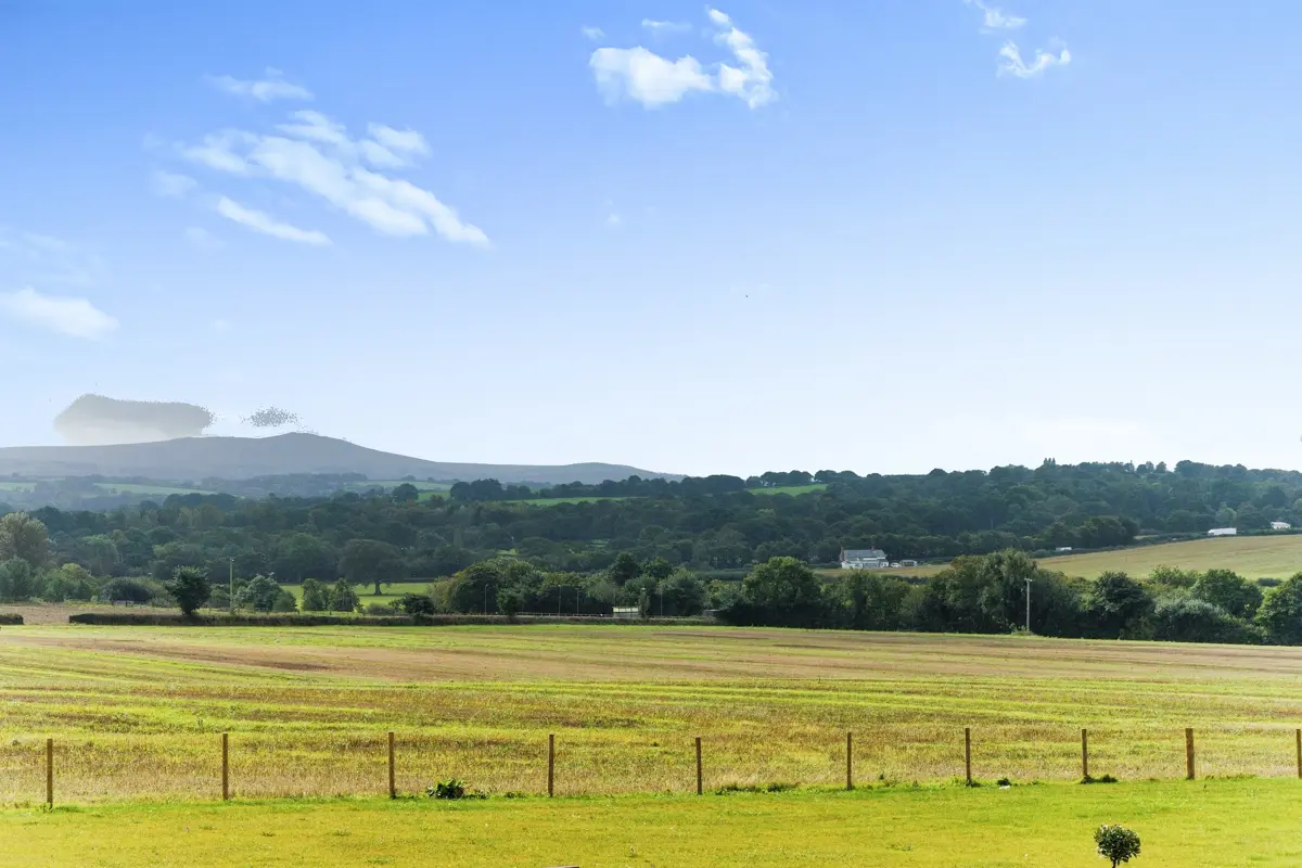 Plot 235 View