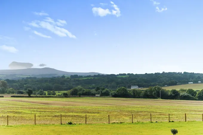 Plot 235 View