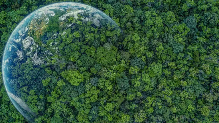 Earth Covered With Trees
