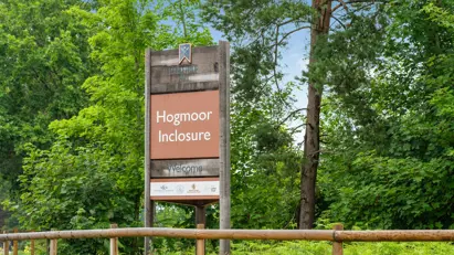 041 Hires Localarea Photography Whistlewood DSC01151