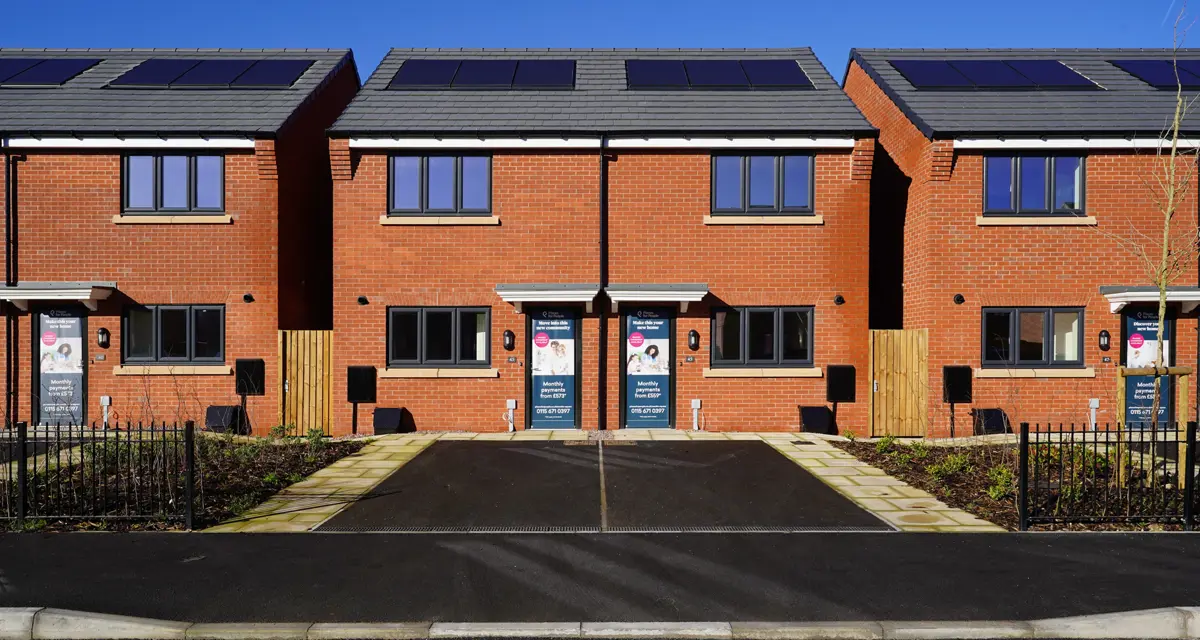 Marble Square The Buttercup