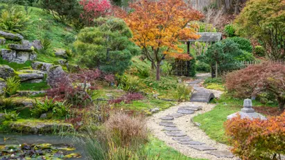 Quarterjackpark Wimborne Park